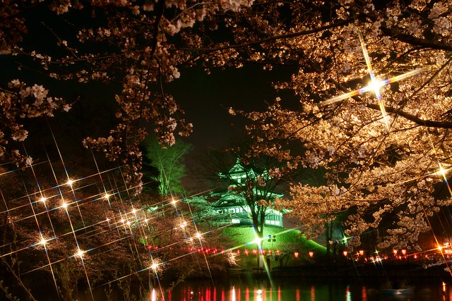 写真_高田公園夜桜ポスター風