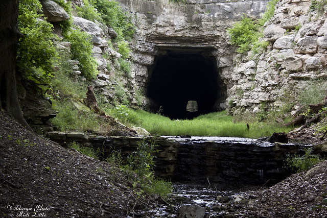 oldtunnelwma