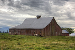 Barns and Old Buildings
