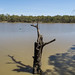 Murray River, Wentworth