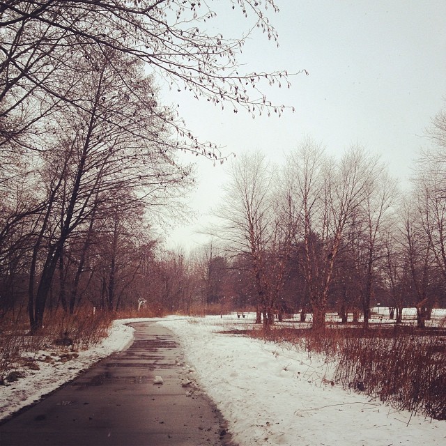 Morning run in Softly falling snow.