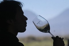 Los mejores enólogos del país evaluaron la calidad del vino tucumano