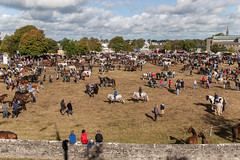 Ballinasloe Horse Fair 2013