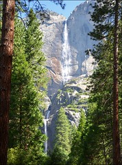 Yosemite (National Park)