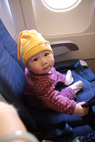 Lulu\'s first traveling by plane
