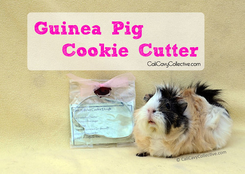 Poof with guinea pig cookie cutter