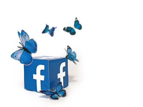 Social Media Butterfly - Facebook