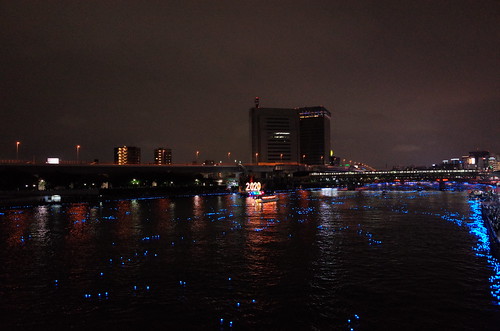 Tokyo Hotaru Light Symphony 2013-28