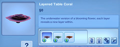 Layered Table Coral