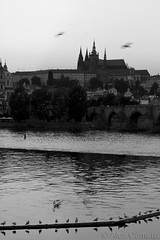 Praga/Praha