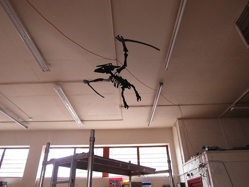 pterri hanging up at london hackspace