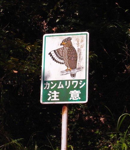 石垣島提醒注意蛇鵰路牌。（圖片攝影：曾建偉）