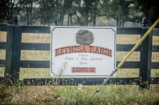 Reynosa Ranch