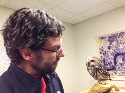 Troy Walters and his education Northern Saw-whet Owl at Trees for Tomorrow