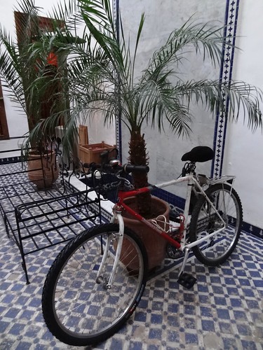 دراجتي الجديدة في فاس