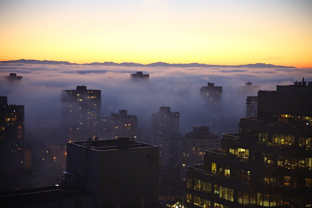 Fog blankets the city