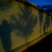 Sombras en la tapia del cementerio2