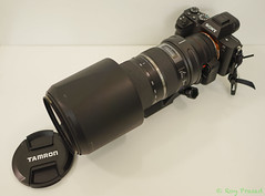 Tamron 150-600mm