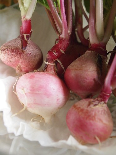 From the garden…Radishes - 4
