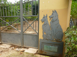 Parque para Perros
