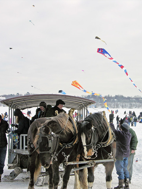 horse team at 2014 Lake Harriet Winter Kite Festival