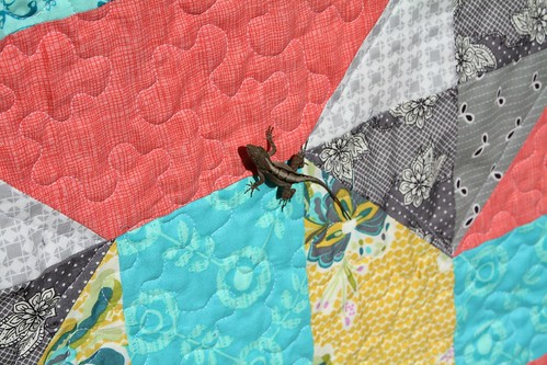 Divide and Conquer - Lizard enjoying the quilt
