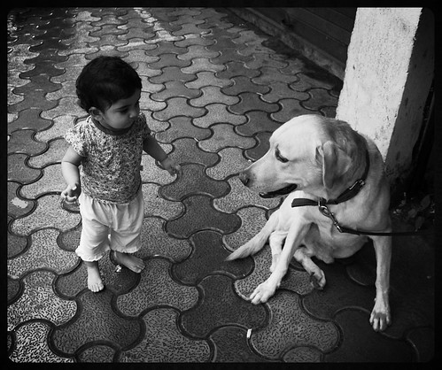 Lucky The Labrador And Nerjis Share A Bond by firoze shakir photographerno1