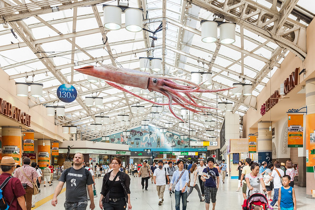 20130731_06_Giant squid of Ueno Station