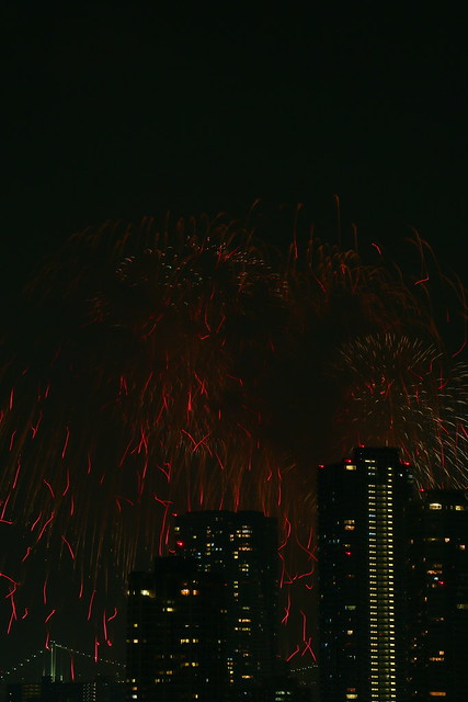 Tokyo Bay Fireworks Festival 2013 Canon EOS 70D 16
