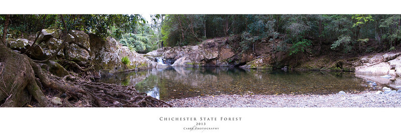 Chichester State Forest