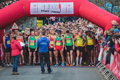 Conwy Half Marathon 2013
