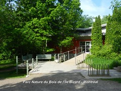 2014 02 Parc Nature du Bois de l'Île Bizard - Montreal