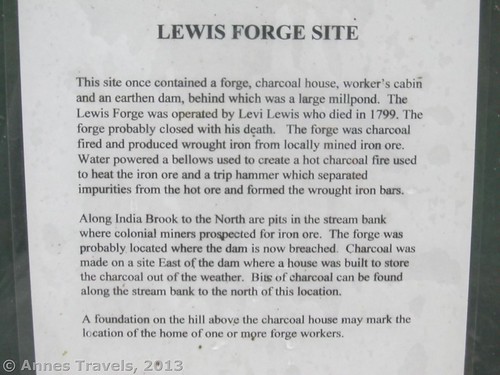 Sign about the Lewis Forge Site, Buttermilk Falls Natural Area, Mendham, New Jersey