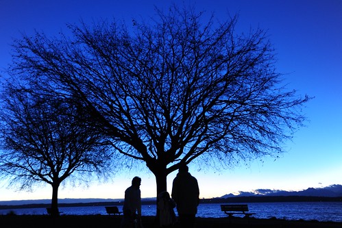 We were there, silhouettes, waterway, Olympic Mountains, the blue sound, bare trees, Golden Gardens Park, Seattle, Washington, USA by Wonderlane