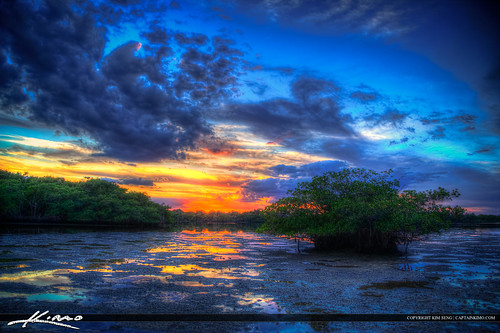 Mangrove Sunset Singer Island MacArthur State Park by Captain Kimo