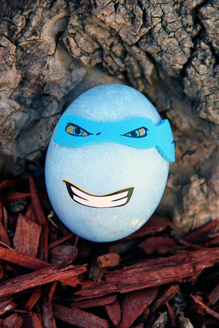 Close-up-of-blue-ninja-egg