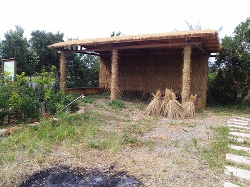 新搭建的茅草屋，未來要作為推廣無毒有機農業的據點。
