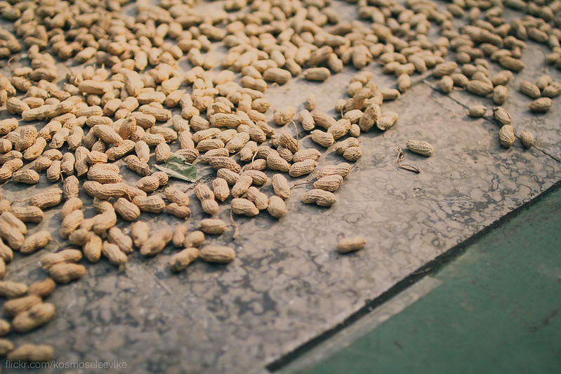 Peanuts drying