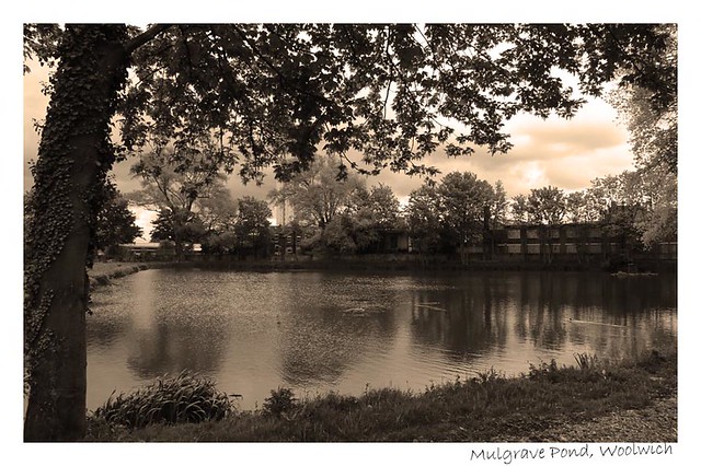 Mulgrave Pond, Woolwich