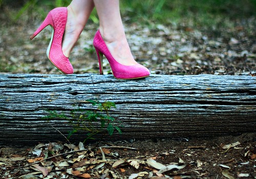 205/365 Pink shoes in the bush by Darcy89