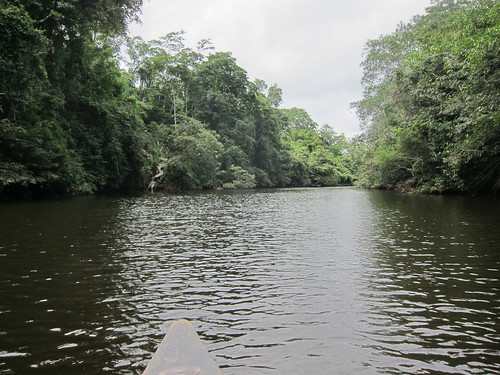 Scenery from the canoe