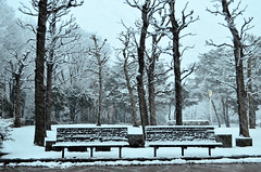 Snowy afternoon／下雪天的午後／雪の午後