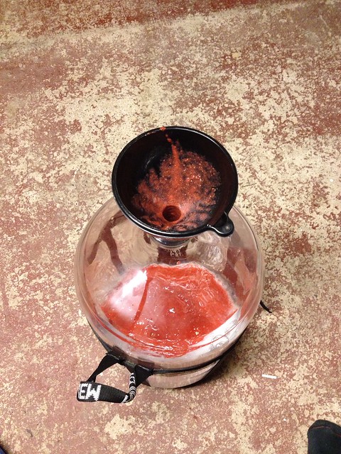 Adding strawberry puree to the 6.5 gallon carboy