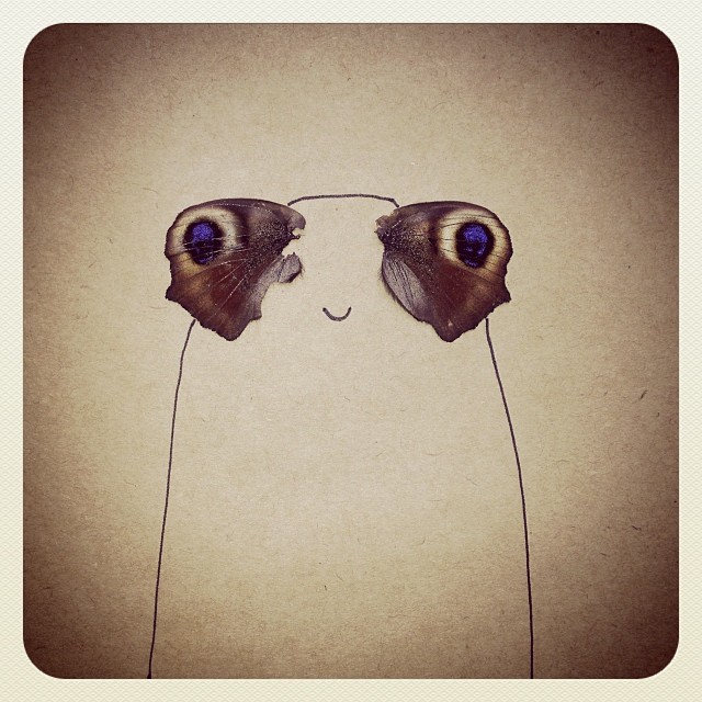 Butterfly eye guy