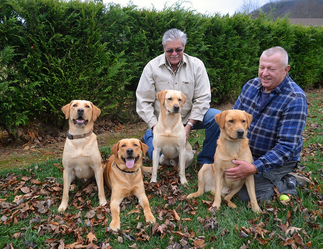 pouncey, duke, harley & jake - all 4 puppies