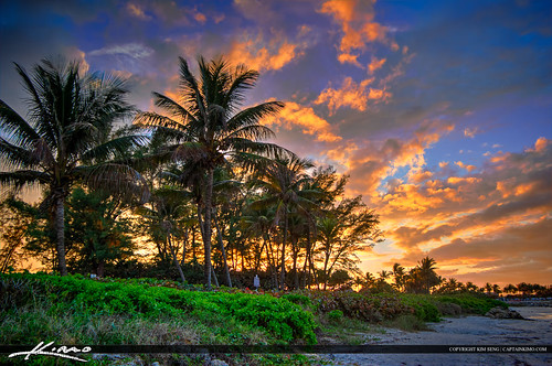 Sunset Over Palm Trees Jupiter Ocean Park by Captain Kimo