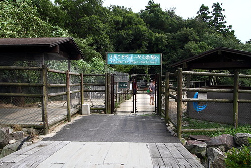 松江貓頭鷹公園