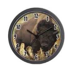 Buffalo in front of a clock