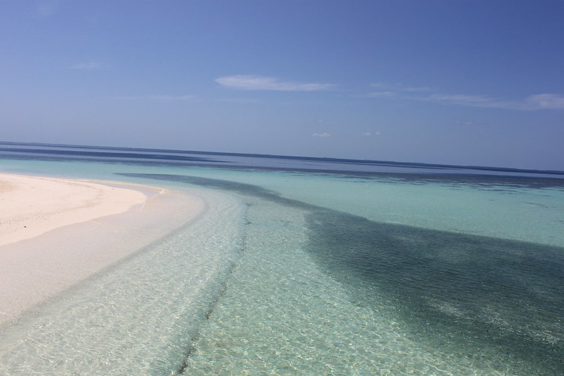 Maldivas Inolvidable - Blogs of Maldives - El Reef (4)
