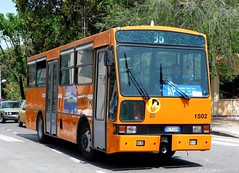 GTT Torino buses